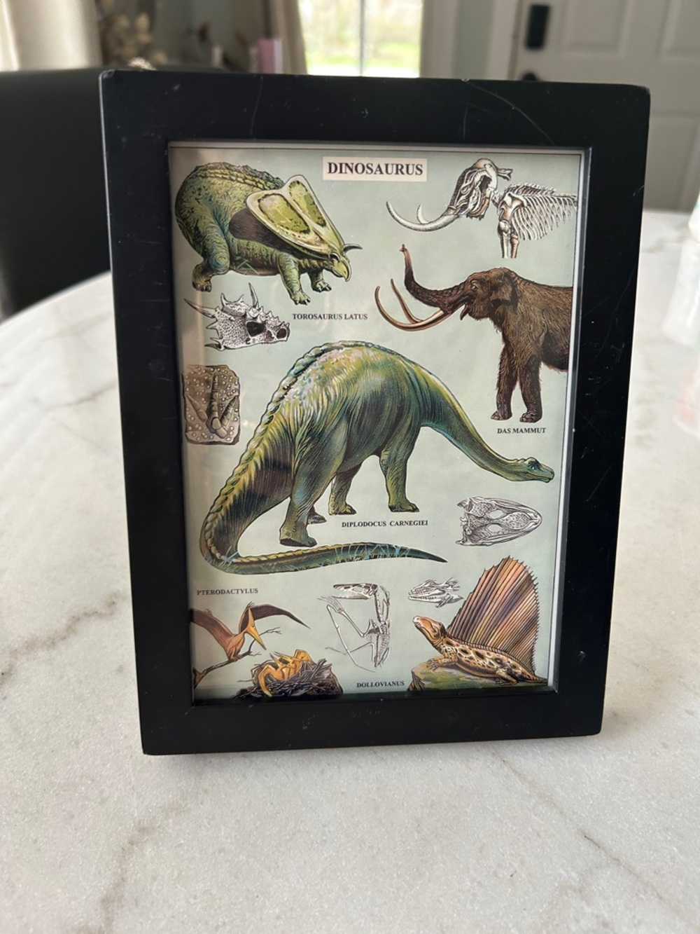 Black Reptile Habitat Frame with Dinosaur Illustration - Unbranded